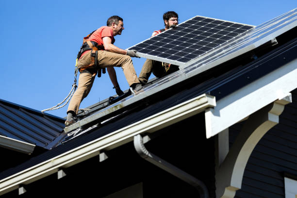 Best Roof Moss and Algae Removal  in Quail Creek, TX